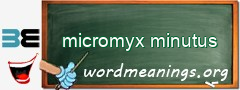 WordMeaning blackboard for micromyx minutus